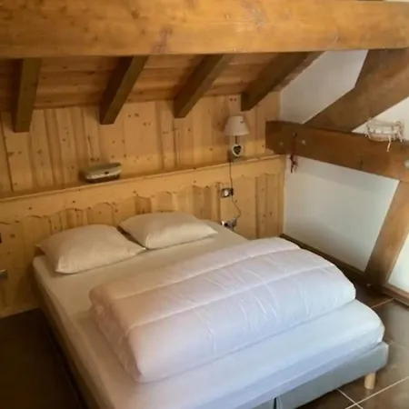 Luxurious Chalet